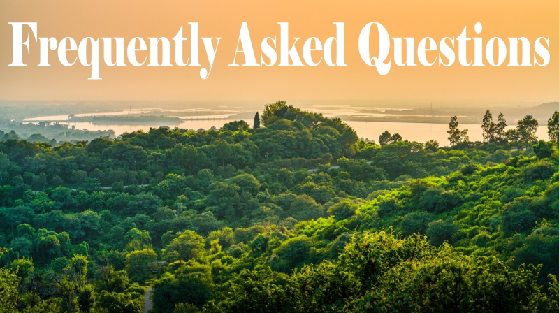 Frequently Asked Questions